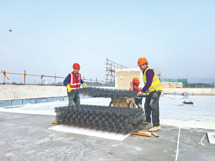 鲍斯气体净化与材料研究生产基地项目主体结构完工冲刺装饰装修阶段